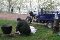 gallery_1_33_1118401